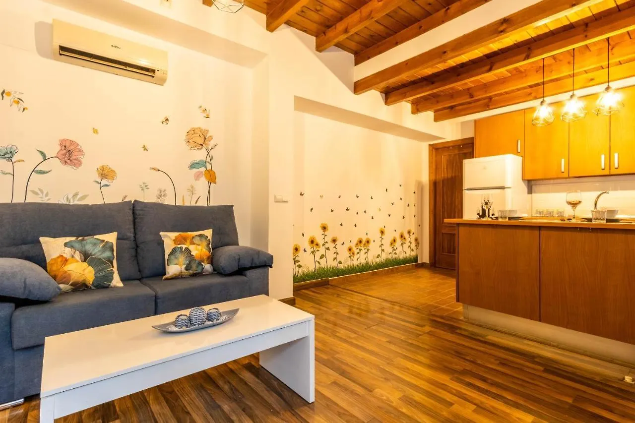 Apartment Apartamento Patio Andaluz En Sevilla Spain